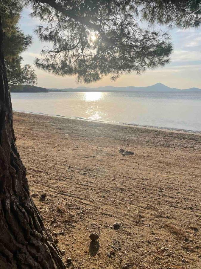 Μοντέρνα Εξοχική Μονοκατοικία Με Ιδιωτική Πισίνα! Khalkoutsion Экстерьер фото